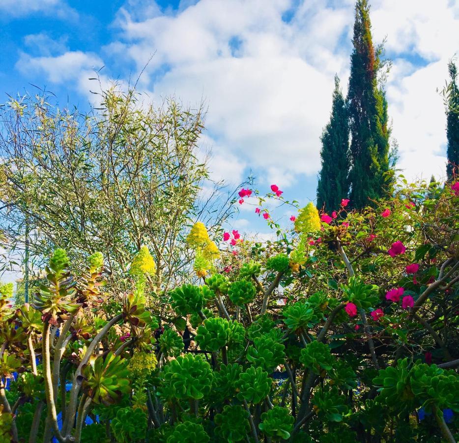 Bohemian Villa - Malaga Alora Ngoại thất bức ảnh