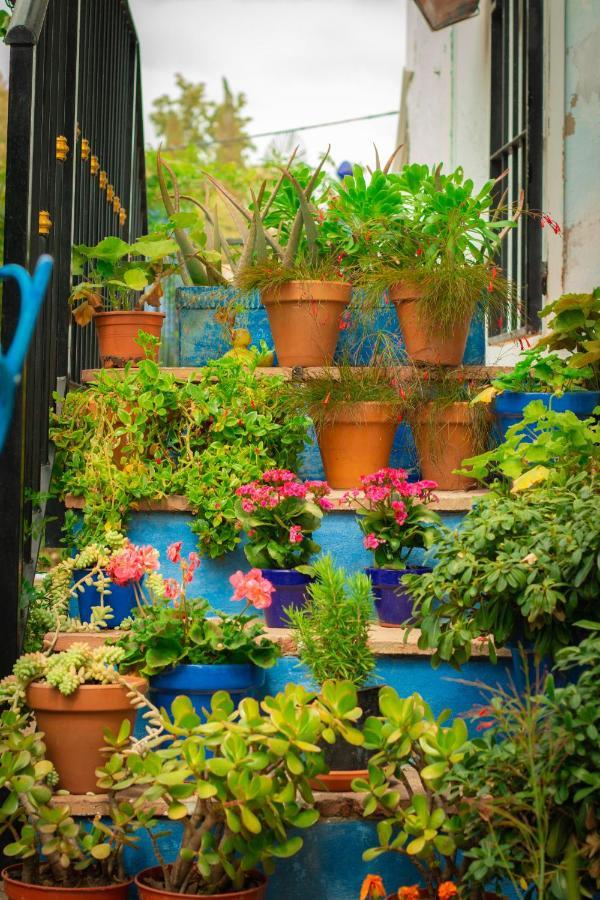 Bohemian Villa - Malaga Alora Ngoại thất bức ảnh